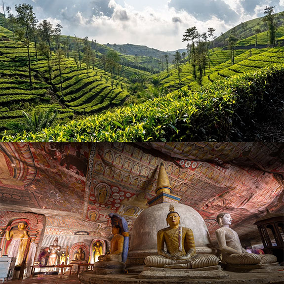 Enchanting Sri Lanka Discovery Tour
