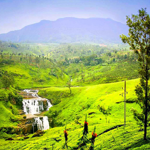Nuwara Eliya