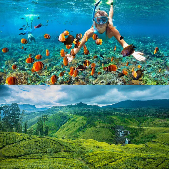 Essence of Sri Lanka