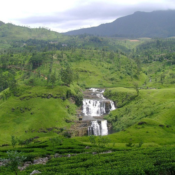 Nuwara Eliya