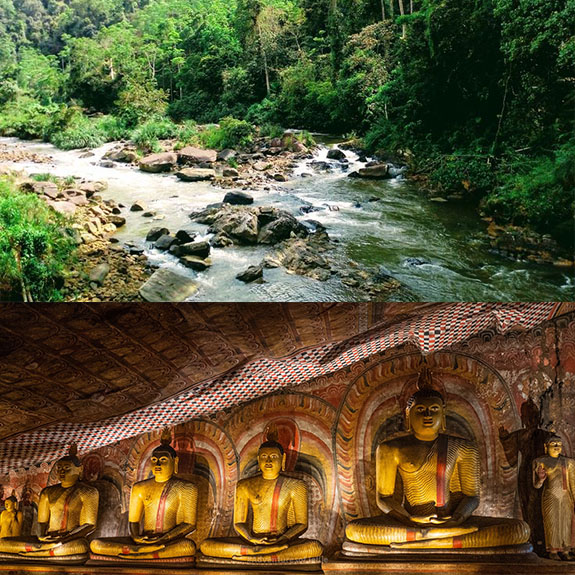 Serene Sri Lanka A Journey through Nature, Culture & Wellness